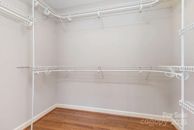 1221 Woodpecker Dr, Clover, SC 29710 - walk in closet with wood finished floors