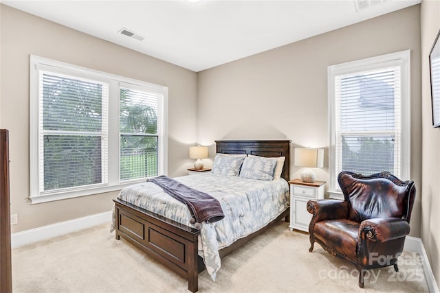 13204 Feale Ct, Charlotte, NC 28278 - bedroom with light carpet and baseboards