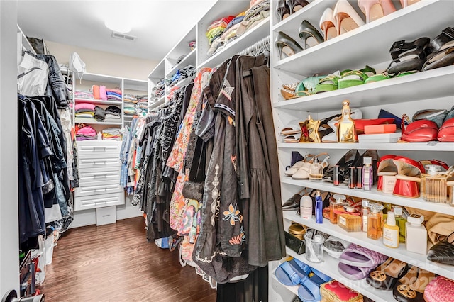 13204 Feale Ct, Charlotte, NC 28278 - walk in closet with wood finished floors