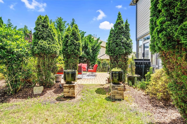 13204 Feale Ct, Charlotte, NC 28278 - view of green lawn featuring a patio area