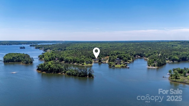 2102 Lake Rd, Ridgeway, SC 29130 - drone / aerial view of a forest and a large body of water