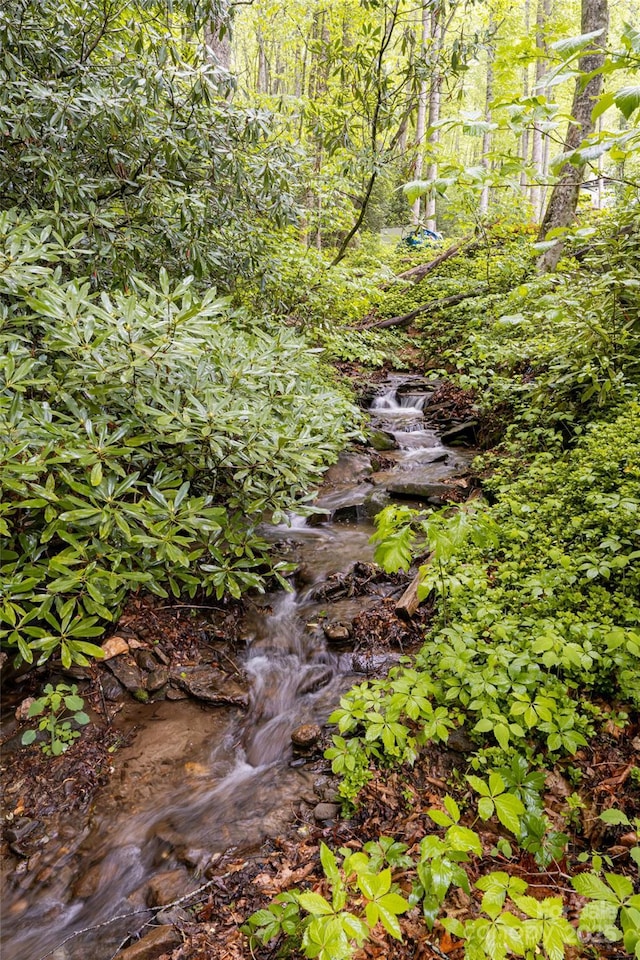 5 Creekside Dr, Maggie Valley, NC 28751 - view of undeveloped land