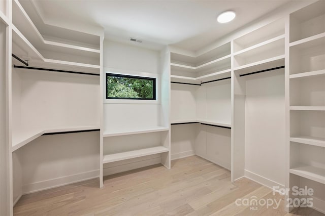 walk in closet featuring light wood-type flooring