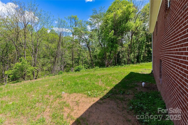 1318 Crawford Rd, Waynesville, NC 28785 - view of yard