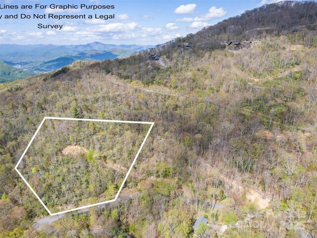 LOTG-50 Odalu Trl Unit G-50, Waynesville, NC 28751 - photo 2