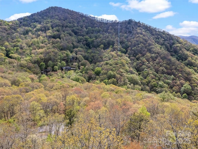 LOTG-50 Odalu Trl Unit G-50, Waynesville, NC 28751 - photo 3