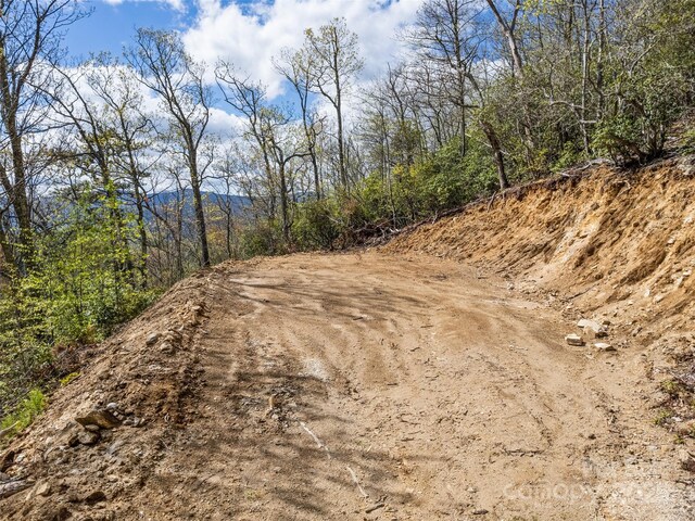 LOTG-50 Odalu Trl Unit G-50, Waynesville, NC 28751 - photo 4