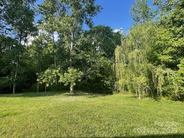517 Grassy Creek Run, Chester, SC 29706 - view of grassy yard featuring a view of trees