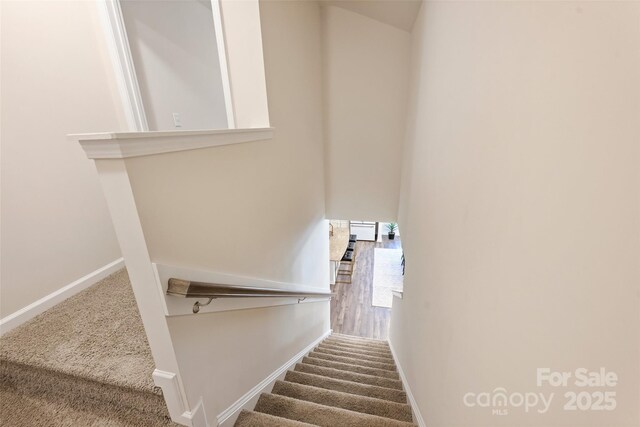 stairs featuring carpet and baseboards