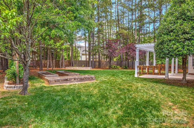 view of yard with a pergola, a garden, and a patio