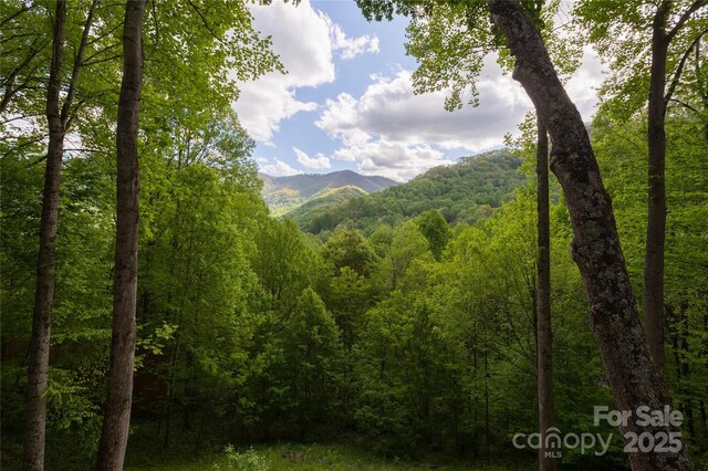 277 Mayali Trl, Waynesville, NC 28785 - photo 3
