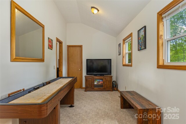 277 Mayali Trl, Waynesville, NC 28785 - photo 23