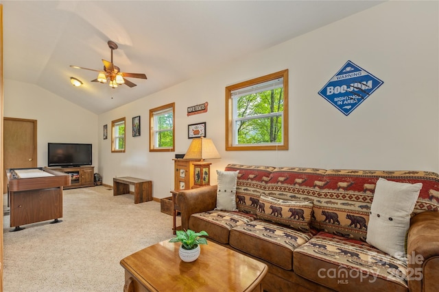 277 Mayali Trl, Waynesville, NC 28785 - photo 26