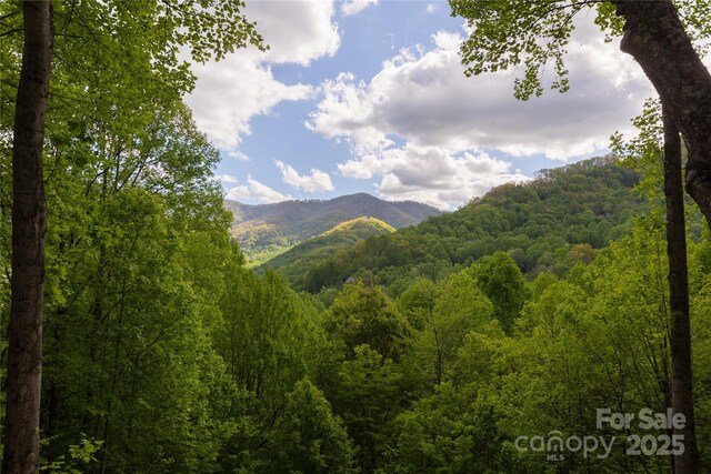 277 Mayali Trl, Waynesville, NC 28785 - photo 44