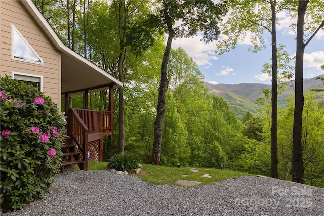 277 Mayali Trl, Waynesville, NC 28785 - photo 47