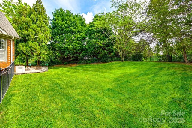 208 Mcduffie Ln, Fort Mill, SC 29715 - view of yard