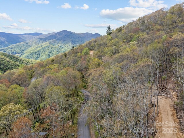 LOTG-44 Odalu Trl Unit G-44, Maggie Valley, NC 28751 - photo 1