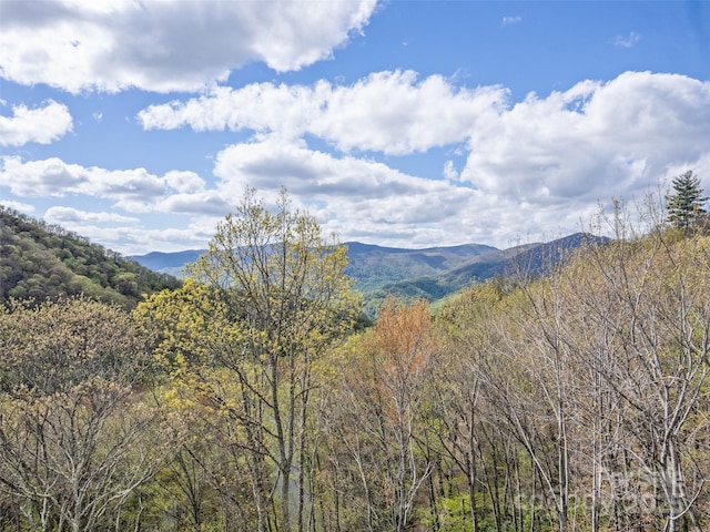 LOTG-44 Odalu Trl Unit G-44, Maggie Valley, NC 28751 - photo 2