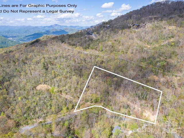 LOTG-44 Odalu Trl Unit G-44, Maggie Valley, NC 28751 - photo 5