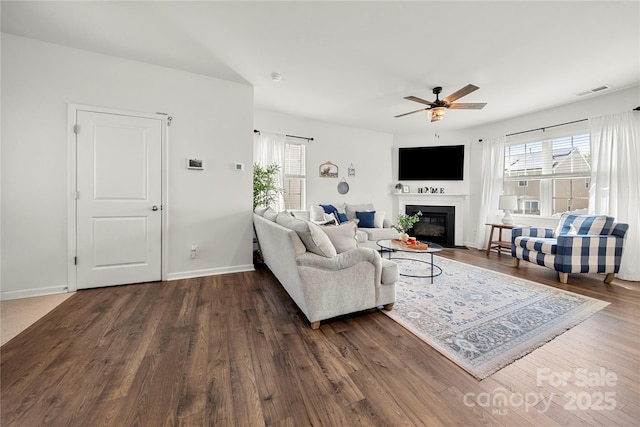 446 Misty Law Ln, Clover, SC 29710 - living room with a ceiling fan, wood finished floors, and a glass covered fireplace