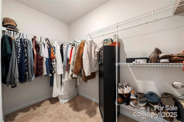 446 Misty Law Ln, Clover, SC 29710 - spacious closet featuring carpet
