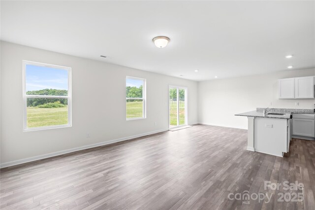2322 Joes Lake Rd, Shelby, NC 28152 - unfurnished living room featuring wood finished floors, a sink, baseboards, and recessed lighting