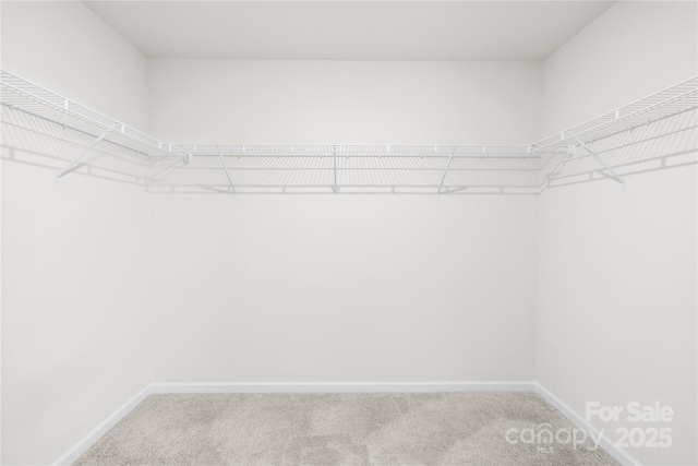 2322 Joes Lake Rd, Shelby, NC 28152 - spacious closet featuring carpet floors