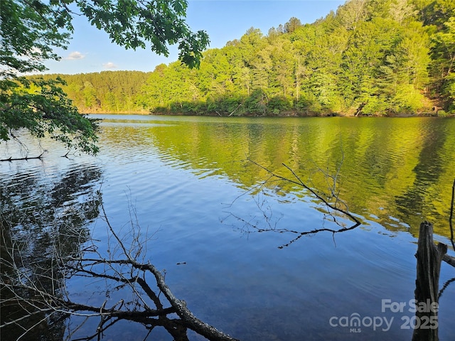 2446 W Paradise Harbor Dr Unit 13, Connelly Springs, NC 28612