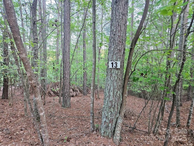 2446 W Paradise Harbor Dr Unit 13, Connelly Springs, NC 28612