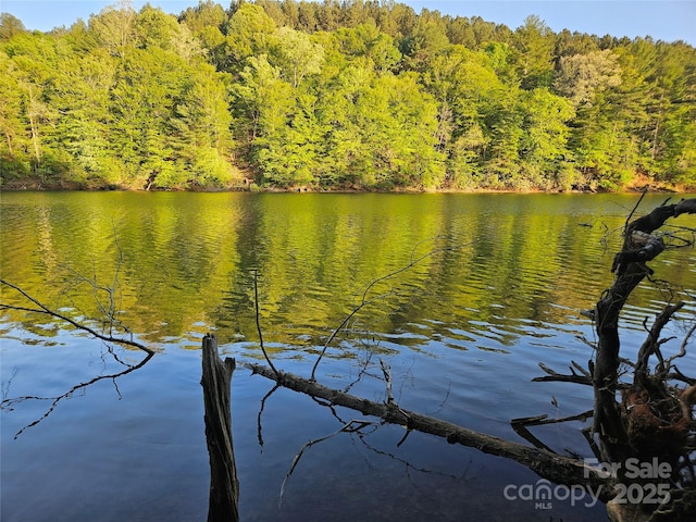 2446 W Paradise Harbor Dr Unit 13, Connelly Springs, NC 28612