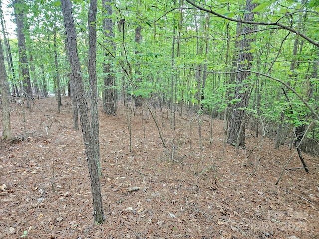 2446 W Paradise Harbor Dr Unit 13, Connelly Springs, NC 28612