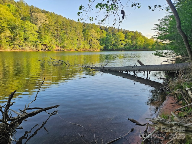 2446 W Paradise Harbor Dr Unit 13, Connelly Springs, NC 28612