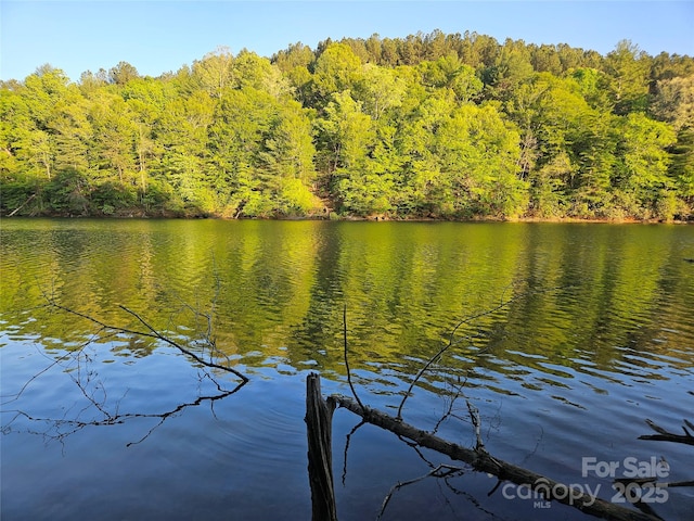 2446 W Paradise Harbor Dr Unit 13, Connelly Springs, NC 28612