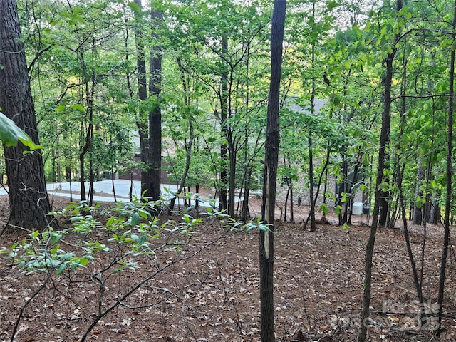 2446 W Paradise Harbor Dr Unit 13, Connelly Springs, NC 28612
