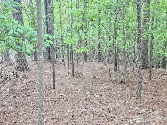 2446 W Paradise Harbor Dr Unit 13, Connelly Springs, NC 28612