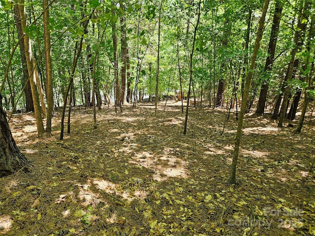2446 W Paradise Harbor Dr Unit 13, Connelly Springs, NC 28612
