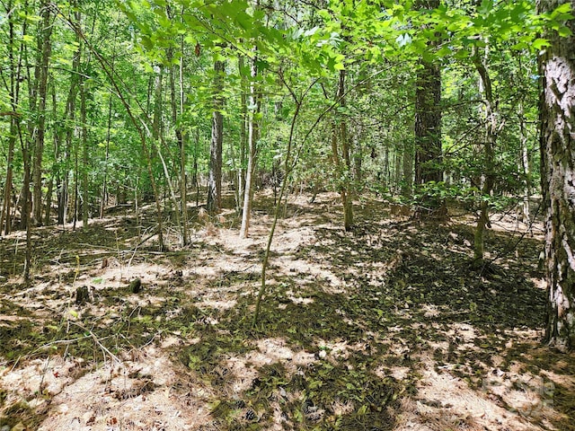 2446 W Paradise Harbor Dr Unit 13, Connelly Springs, NC 28612