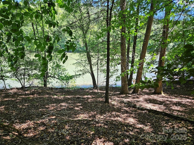 2446 W Paradise Harbor Dr Unit 13, Connelly Springs, NC 28612