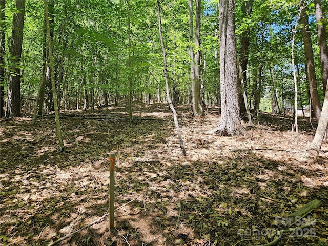 2446 W Paradise Harbor Dr Unit 13, Connelly Springs, NC 28612