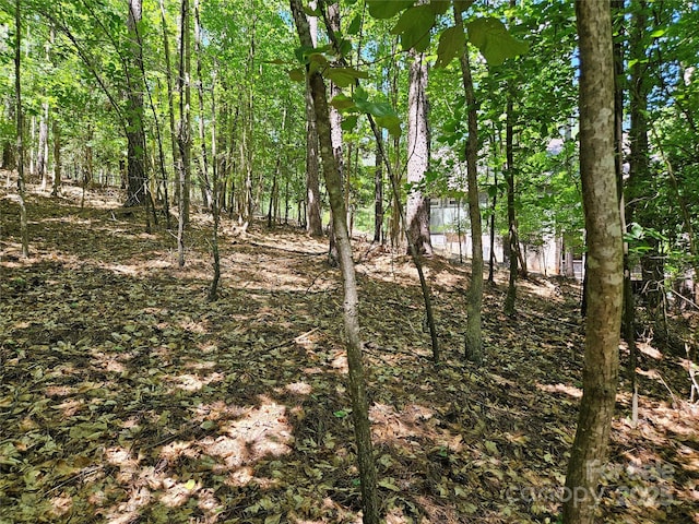 2446 W Paradise Harbor Dr Unit 13, Connelly Springs, NC 28612