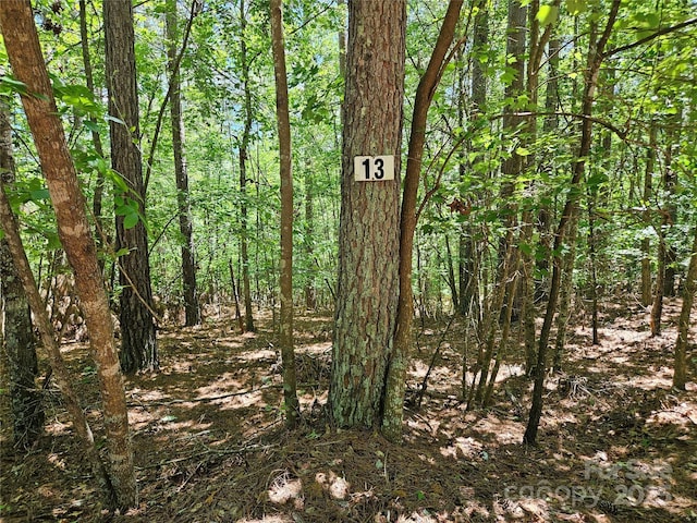 2446 W Paradise Harbor Dr Unit 13, Connelly Springs, NC 28612