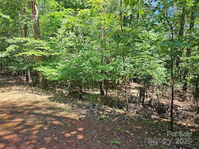 2446 W Paradise Harbor Dr Unit 13, Connelly Springs, NC 28612