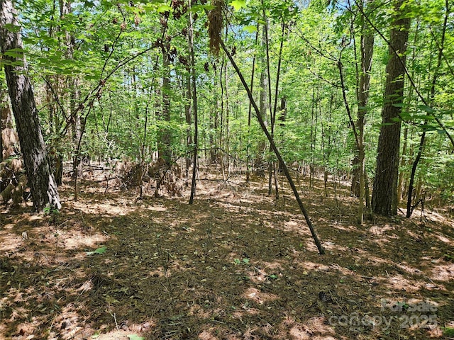 2446 W Paradise Harbor Dr Unit 13, Connelly Springs, NC 28612