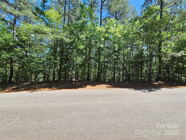2446 W Paradise Harbor Dr Unit 13, Connelly Springs, NC 28612