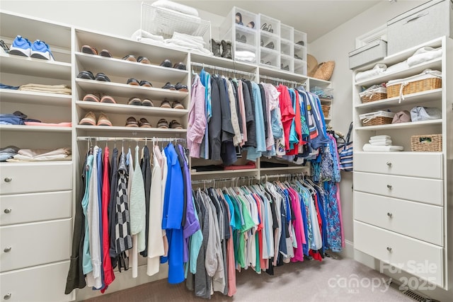 6831 Conservatory Ln, Charlotte, NC 28210 - walk in closet with carpet floors