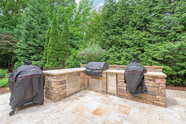 6831 Conservatory Ln, Charlotte, NC 28210 - view of patio / terrace with a grill and area for grilling
