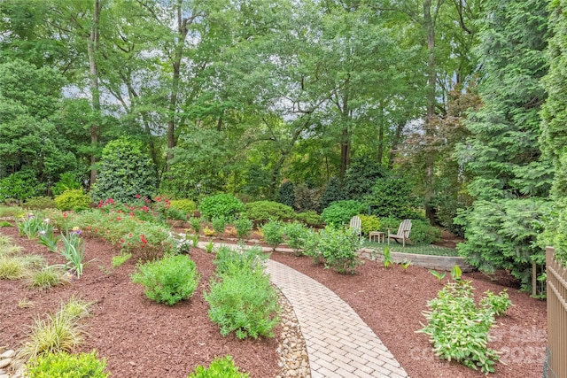 6831 Conservatory Ln, Charlotte, NC 28210 - view of yard
