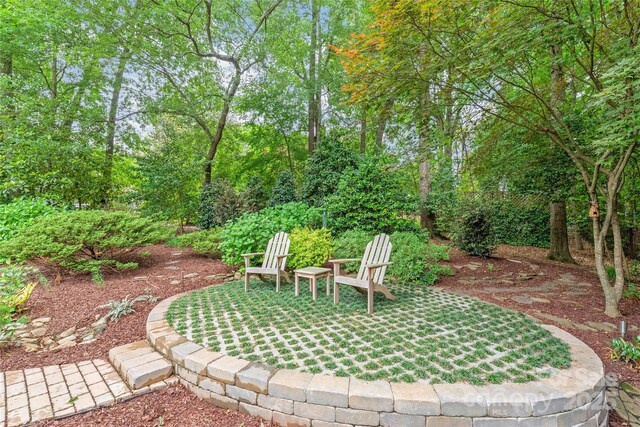 6831 Conservatory Ln, Charlotte, NC 28210 - view of yard