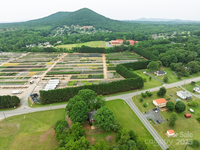4098 S NC Highway 127, Hickory, NC 28602 - overview of rural landscape featuring rows of crops and a mountainous background