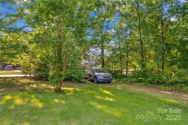 157 E Meadowview Dr, Statesville, NC 28625 - view of grassy yard